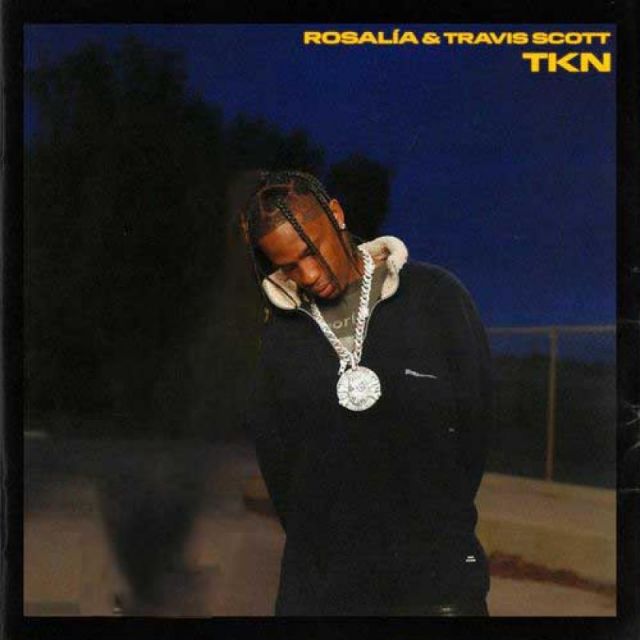 متن آهنگ Tkn از Travis Scott کاور آهنگ Tkn از Travis Scott