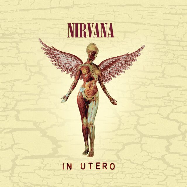 کاور آهنگ Very Ape از Nirvana