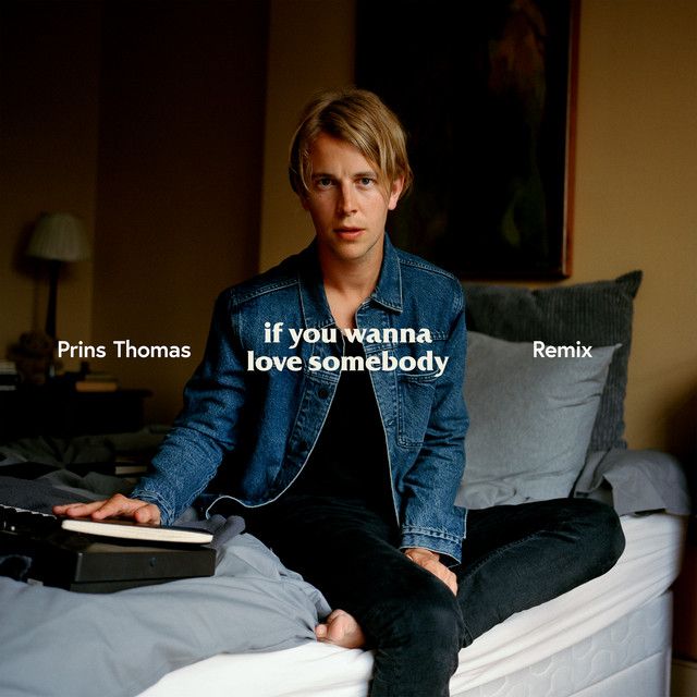 متن آهنگ If You Wanna Love Somebody - Prins Thomas Remix از کاور آهنگ If You Wanna Love Somebody - Prins Thomas Remix از Tom Odell
