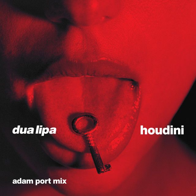 کاور آهنگ Houdini (Adam Port Mix) [Extended] از Dua Lipa