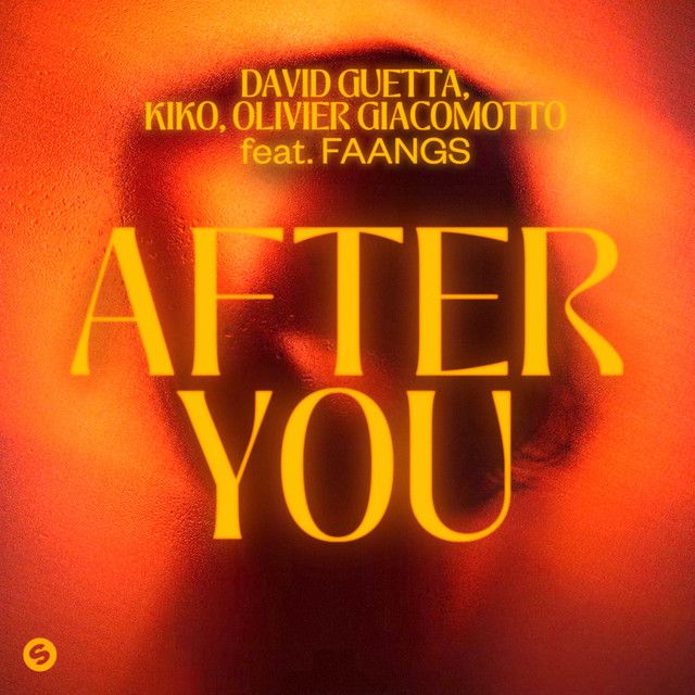 کاور آهنگ After You (feat. FAANGS) از David Guetta