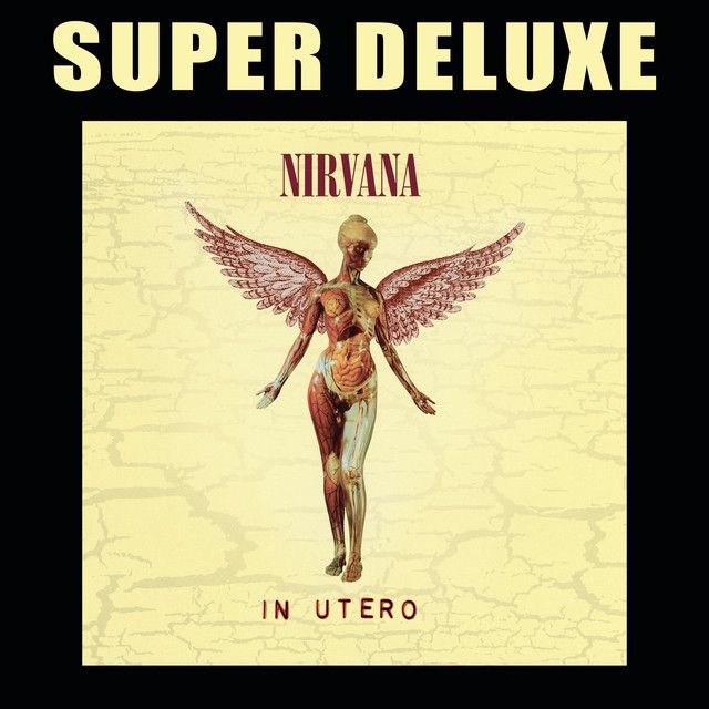 متن آهنگ Pennyroyal Tea - Live & Loud از Nirvana کاور آهنگ Pennyroyal Tea - Live & Loud از Nirvana