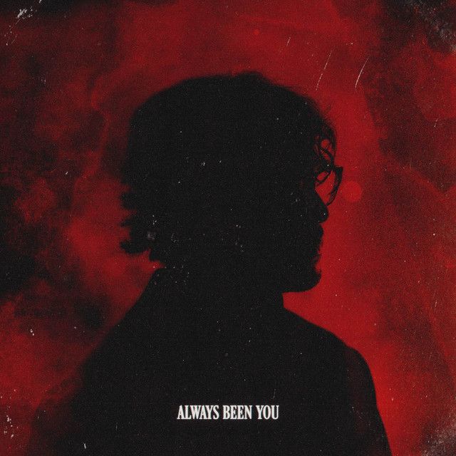متن آهنگ ALWAYS BEEN YOU از Chris Grey