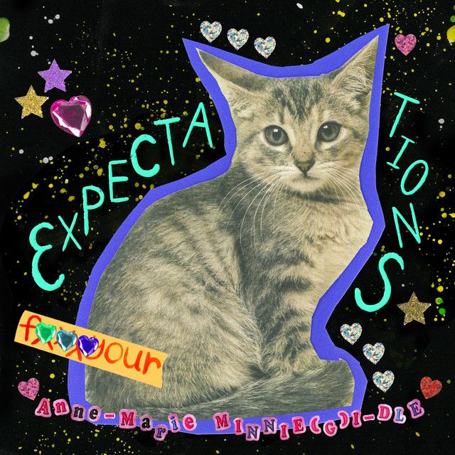 کاور آهنگ Expectations از Anne-Marie