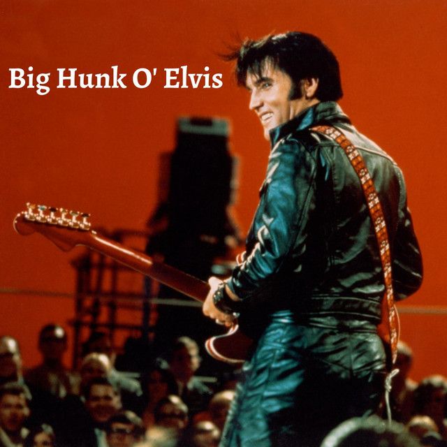 متن آهنگ Party از Elvis Presley کاور آهنگ Party از Elvis Presley