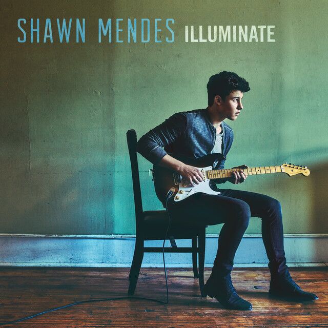 متن آهنگ Roses از Shawn Mendes کاور آهنگ Roses از Shawn Mendes