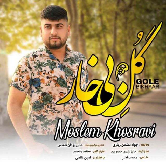 متن آهنگ گل بی خار از مسلم خسروی کاور آهنگ گل بی خار از مسلم خسروی