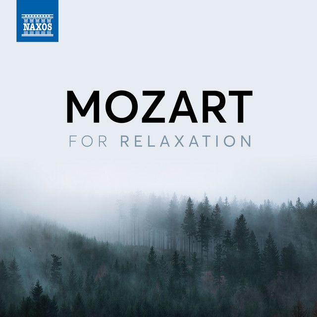 متن آهنگ Piano Sonata No. 10 in C Major, K. 330: Ii. Andante کاور آهنگ Piano Sonata No. 10 in C Major, K. 330: Ii. Andante cantabile از Wolfgang Amadeus Mozart