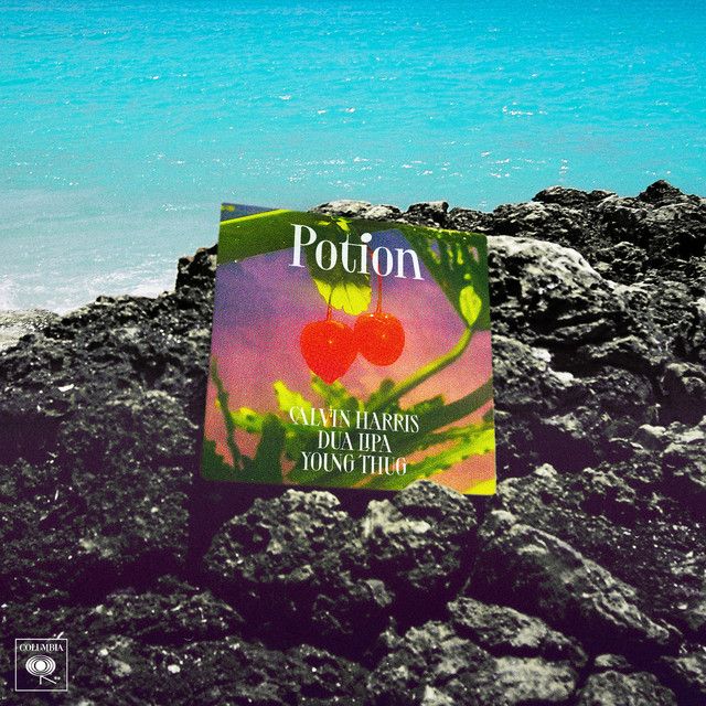 متن آهنگ Potion (with Dua Lipa & Young Thug) از Young Thug