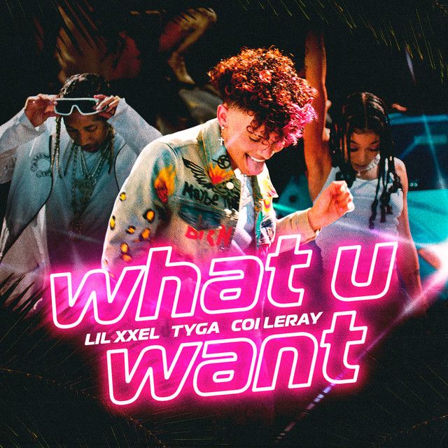 متن آهنگ What U Want از Tyga کاور آهنگ What U Want از Tyga