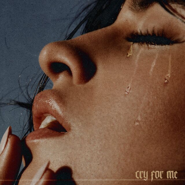متن آهنگ Cry for Me از Camila Cabello کاور آهنگ Cry for Me از Camila Cabello