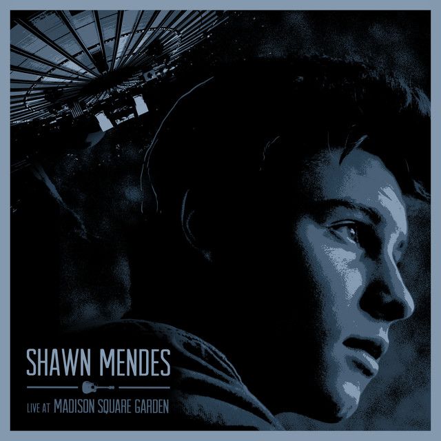 کاور آهنگ Lights On - Live از Shawn Mendes