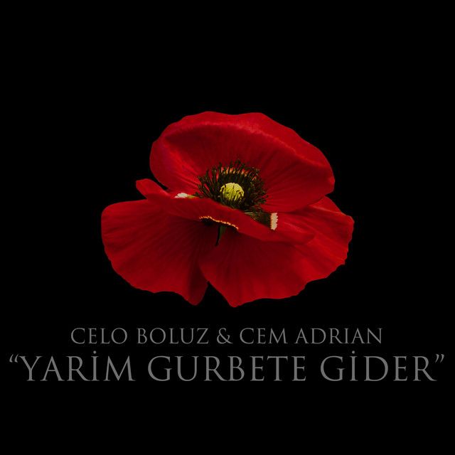 کاور آهنگ Yarim Gurbete Gider از Cem Adrian