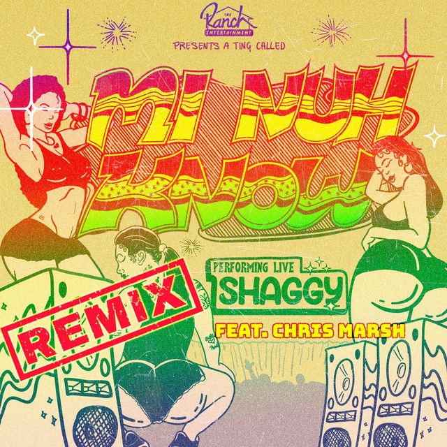 متن آهنگ Mi Nuh Know (Remix) از Shaggy کاور آهنگ Mi Nuh Know (Remix) از Shaggy