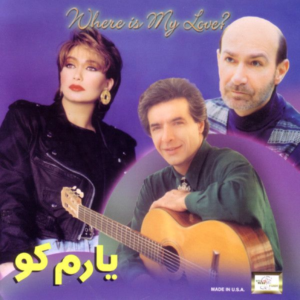 متن آهنگ شنیدم از شهره کاور آهنگ شنیدم از شهره