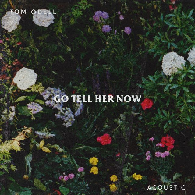 متن آهنگ Go Tell Her Now - Acoustic از Tom Odell کاور آهنگ Go Tell Her Now - Acoustic از Tom Odell