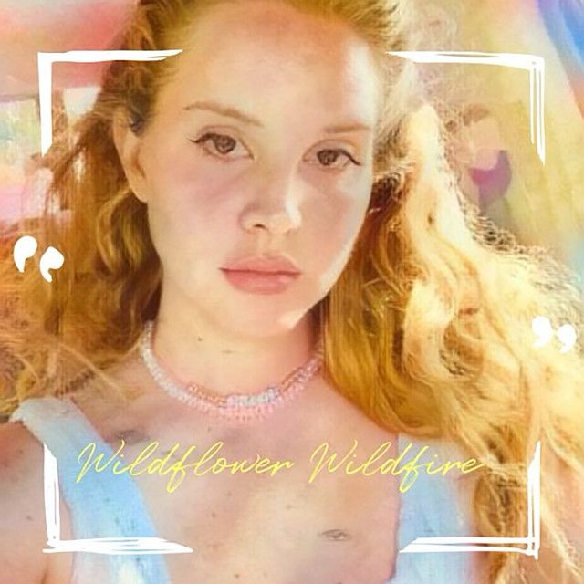 متن آهنگ Wildflower Wildfire از Lana Del Rey کاور آهنگ Wildflower Wildfire از Lana Del Rey