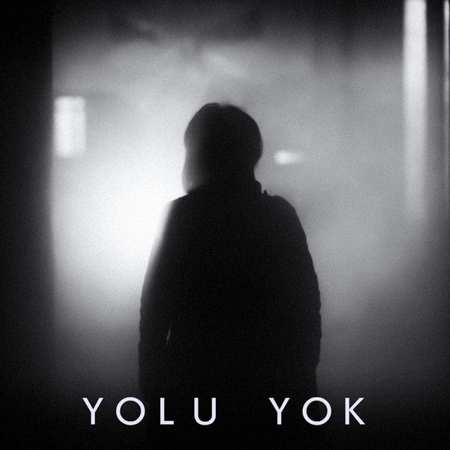 کاور آهنگ Yolu Yok (feat. Zerrin) از Serhat Durmus