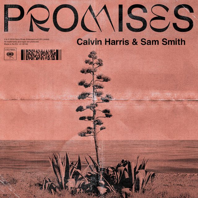 کاور آهنگ Promises (with Sam Smith) از Sam Smith