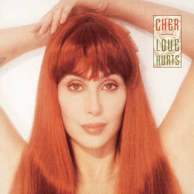 متن آهنگ I'll Never Stop Loving You از Cher کاور آهنگ I'll Never Stop Loving You از Cher