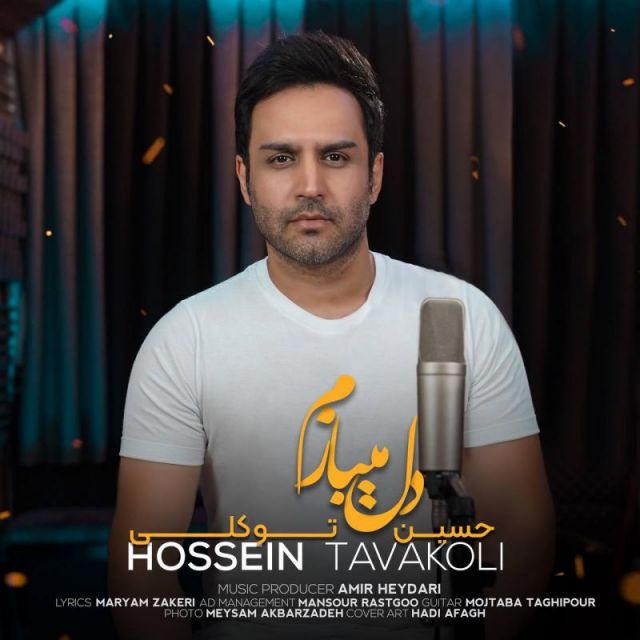 متن آهنگ دل میبازم از حسین توکلی کاور آهنگ دل میبازم از حسین توکلی