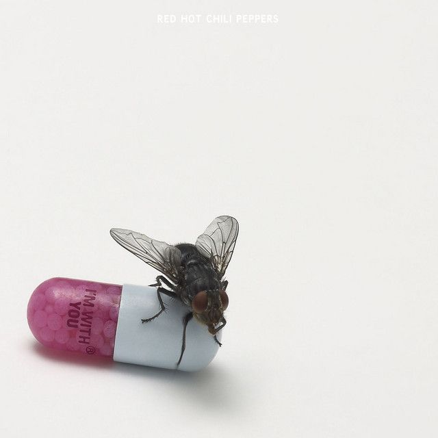 متن آهنگ The Adventures of Rain Dance Maggie از Red Hot Chili… کاور آهنگ The Adventures of Rain Dance Maggie از Red Hot Chili Peppers