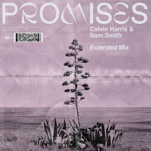 متن آهنگ Promises (with Sam Smith) - Extended Mix از Sam Smi کاور آهنگ Promises (with Sam Smith) - Extended Mix از Sam Smith